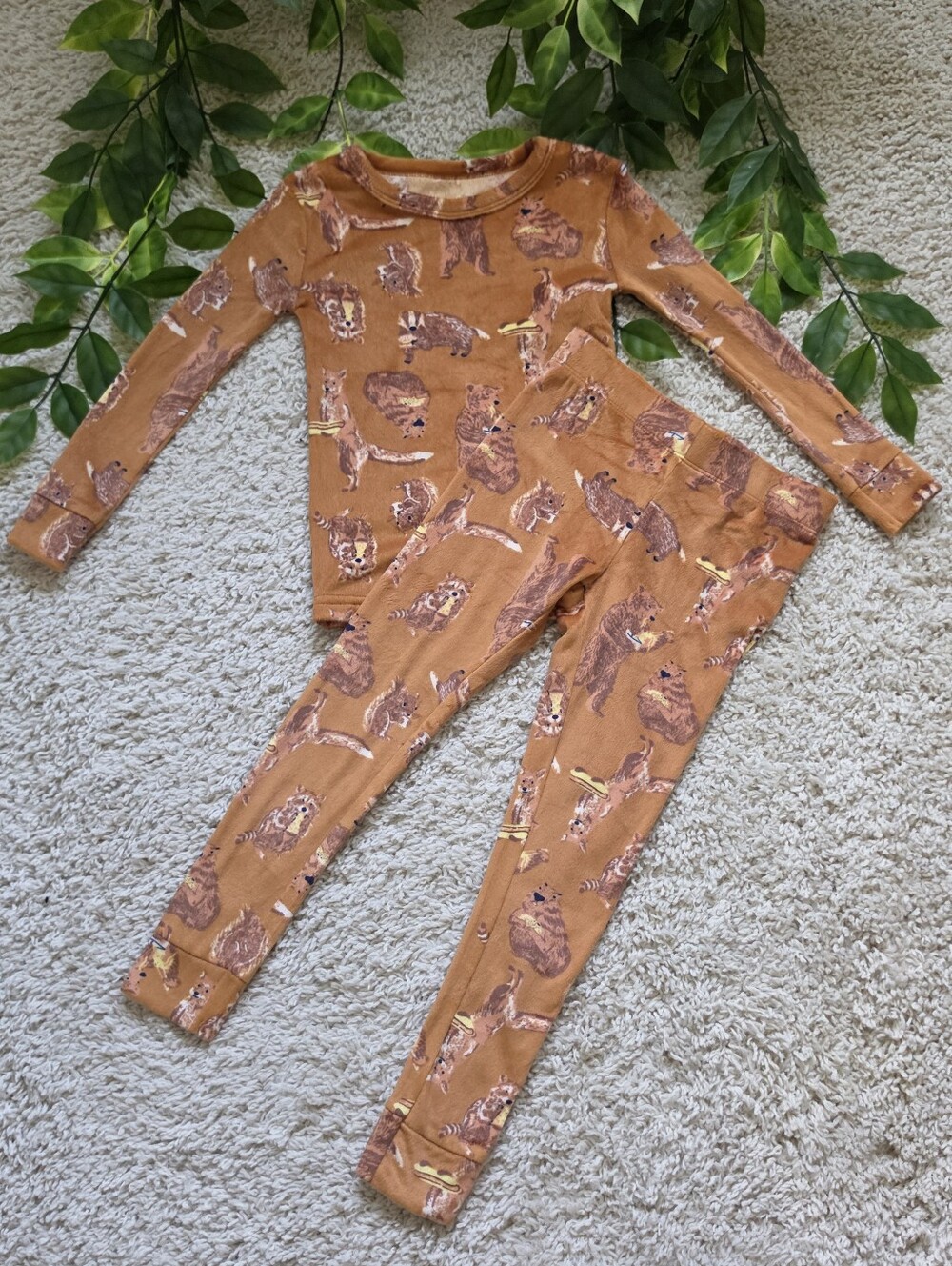Little Boy Wildlife Animals Eating Snacks (Size 4)